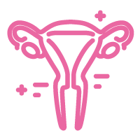 uterus